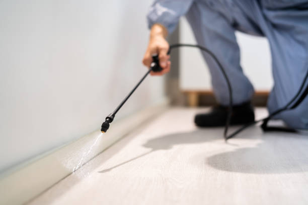 Licensed Termite Control service in Todd County County, KY - Nex Pest Control