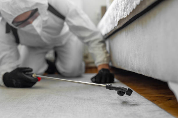Professional Termite Control technician working in Todd County County, KY